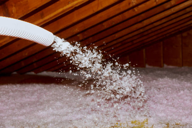 Best Local Insulation Services  in Hannibal, MO