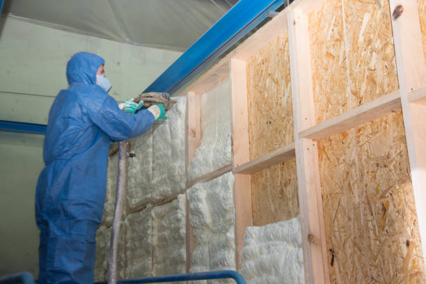 Best Professional Insulation Contractor  in Hannibal, MO