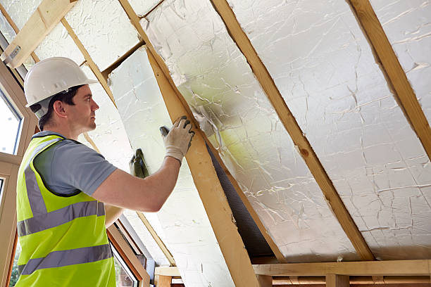 Best Blown-in Insulation  in Hannibal, MO
