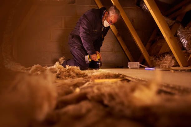 Best Best Insulation Companies  in Hannibal, MO